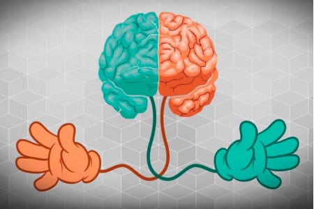 Зачем развивать оба полушария мозга?